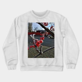 Frosty Mountain Ash Berries on a Cold November Morning Crewneck Sweatshirt